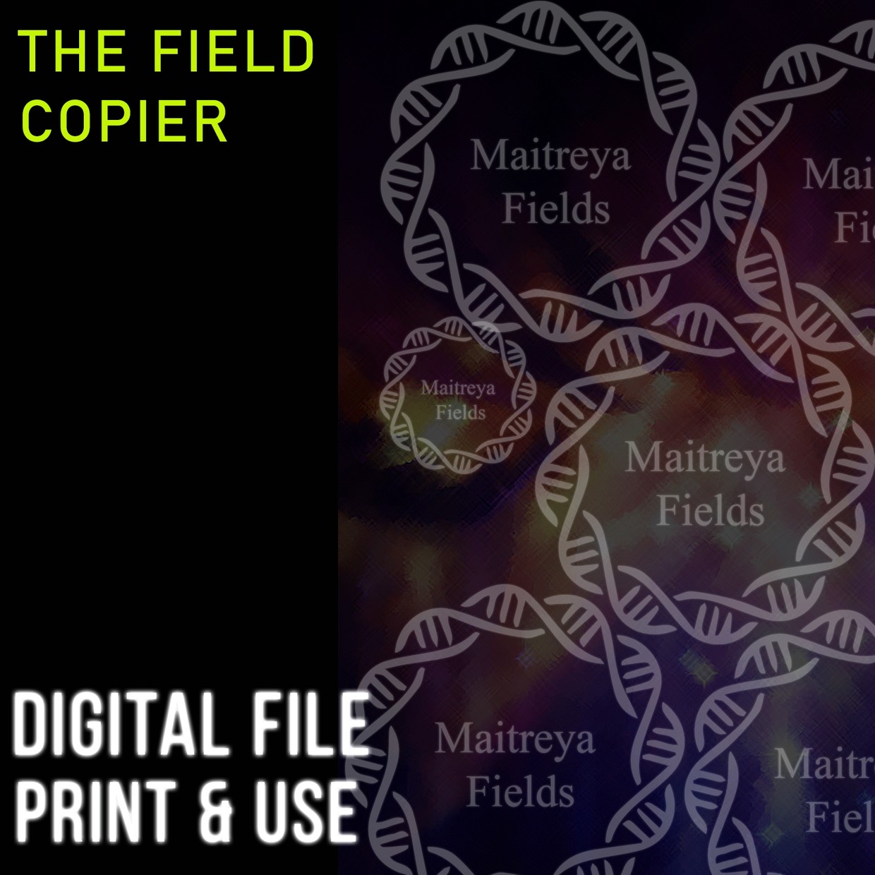Maitreya Fields.jpeg