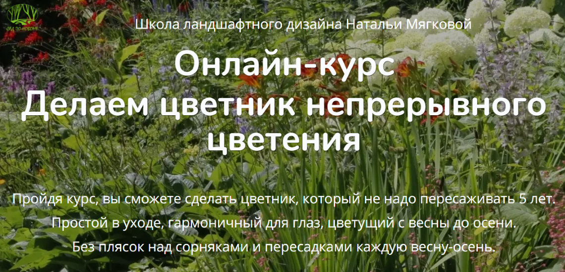 upload_2026-3-9_11-31-14.png